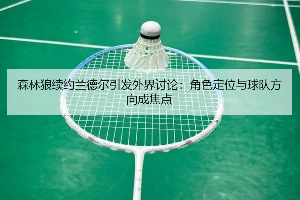 森林狼续约兰德尔引发外界讨论：角色定位与球队方向成焦点